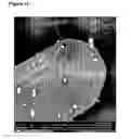 Fig. 11 - Slow release steroid composition