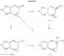 Fig. 16 - Substituted bicycloalkylamine derivatives as modulators of chemokine receptor activity