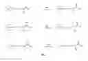Fig. 02 - Nitrone compounds, prodrugs and pharmaceuticals compositons of the same to treat human disorders