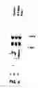 Fig. 05 - Method of treating or preventing hepatitis B virus