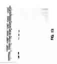 Fig. 15 - Method of treating or preventing hepatitis B virus