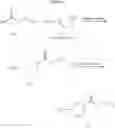 Fig. 16 - 3-cycloalkylaminopyrrolidine derivatives as modulators of chemokine receptors