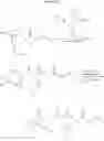 Fig. 23 - 3-cycloalkylaminopyrrolidine derivatives as modulators of chemokine receptors