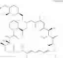 Fig. 08 - Process for production of O-alkylated rapamycin derivatives