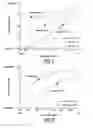 Fig. 04 - To enhance thermal insulation of polymeric foam by reducing cell anisotropic ratio and the method for production thereof