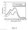 Fig. 05 - Preparation and use of photopolymerized microparticles
