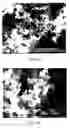 Fig. 12 - Preparation and use of photopolymerized microparticles