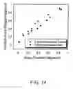 Fig. 15 - Preparation and use of photopolymerized microparticles