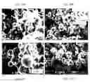 Fig. 17 - Preparation and use of photopolymerized microparticles