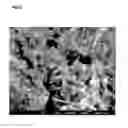 Fig. 07 - Carbon black composite material and method of producing the same, and composite elastomer