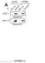 Fig. 02 - Novel death domain proteins
