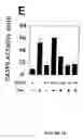 Fig. 06 - Novel death domain proteins