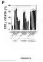 Fig. 07 - Novel death domain proteins
