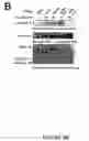 Fig. 09 - Novel death domain proteins