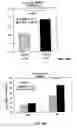 Fig. 35 - Antibodies to vascular endothelial growth factor 2 (VEGF-2)