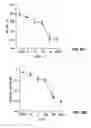 Fig. 43 - Antibodies to vascular endothelial growth factor 2 (VEGF-2)