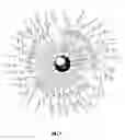 Fig. 04 - Linker arms for nanocrystals and compounds thereof