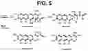 Fig. 04 - Derivatives of mithramycin and methods of making and uses thereof