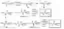Fig. 06 - Methods for producing hydroxy amino acids, esters, and derivatives thereof