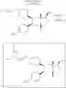 Fig. 32 - Compounds with hydroxycarbonyl-halogenoalkyl side chains
