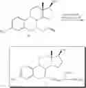 Fig. 40 - Compounds with hydroxycarbonyl-halogenoalkyl side chains