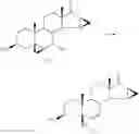 Fig. 04 - Process for the preparation of drospirenone