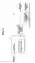 Fig. 12 - Endoscope image pick-up apparatus