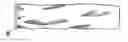 Fig. 01 - Disposable sheath for specula
