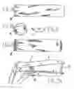 Fig. 02 - Disposable sheath for specula
