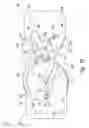 Fig. 04 - Bicentric hinge for use in a brace
