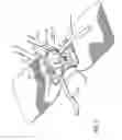 Fig. 03 - Securement device for indwelling catheters or introducers