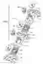 Fig. 24 - Method for installing dynamic multilock anterior cervical plate system having detachably fastened and moveable segments