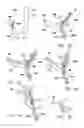 Fig. 16 - Methods and devices for reducing hollow organ volume