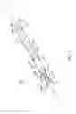 Fig. 02 - Method and apparatus for anastomosis including an anchoring sleeve