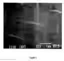 Fig. 06 - Method of fusing electroprocessed matrices to a substrate