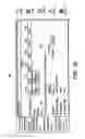 Fig. 06 - Method and apparatus for implementing task-oriented induction capabilities in an implantable cardioverter defibrillator and programmer