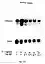 Fig. 22 - Electrical devices and anti-scarring agents