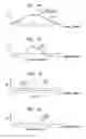 Fig. 09 - Compressed neural coding