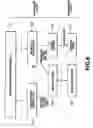Fig. 10 - Robot apparatus