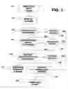 Fig. 04 - System and method for normalization of a string of words