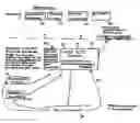 Fig. 01 - System for facilitating life settlement transactions