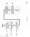 Fig. 06 - Method and system for structured finance using deferrable preferred securities
