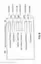 Fig. 09 - Dynamic query optimization