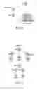 Fig. 10 - Structured data storage method, structured data storage apparatus, and retrieval method