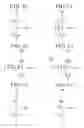 Fig. 14 - Random number generator and probability generator