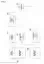 Fig. 06 - Digital watermarking system using a cryptographic key