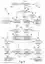 Fig. 10 - Presentation of media content