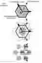 Fig. 01 - Icosahedral modified generalized balanced ternary and aperture 3 hexagon tree