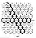 Fig. 03 - Icosahedral modified generalized balanced ternary and aperture 3 hexagon tree