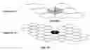 Fig. 16 - Icosahedral modified generalized balanced ternary and aperture 3 hexagon tree
